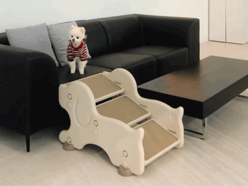 KakaoTalk_20240202_103436826_04.gif
