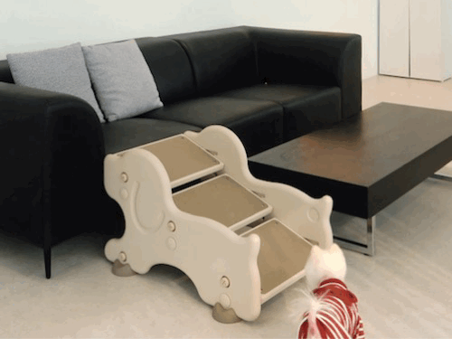 KakaoTalk_20240202_103436826_05.gif