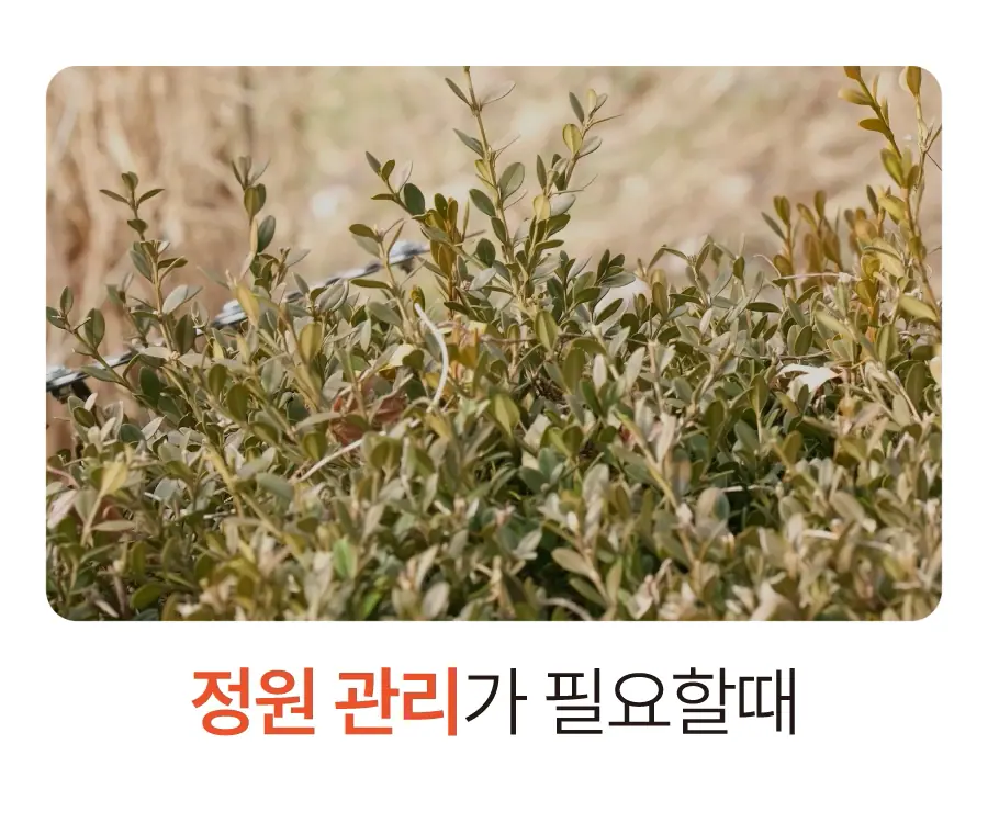 12.webp