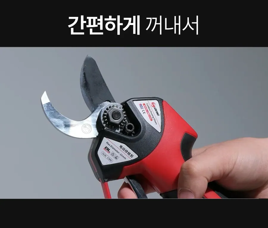 4.webp