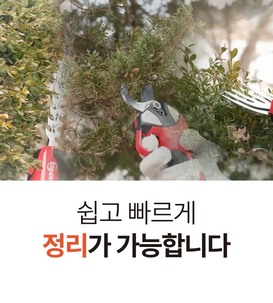 5.webp