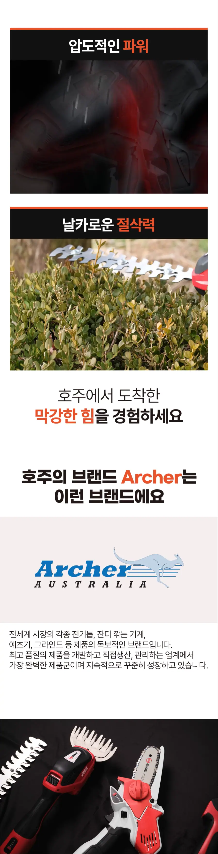 16.webp