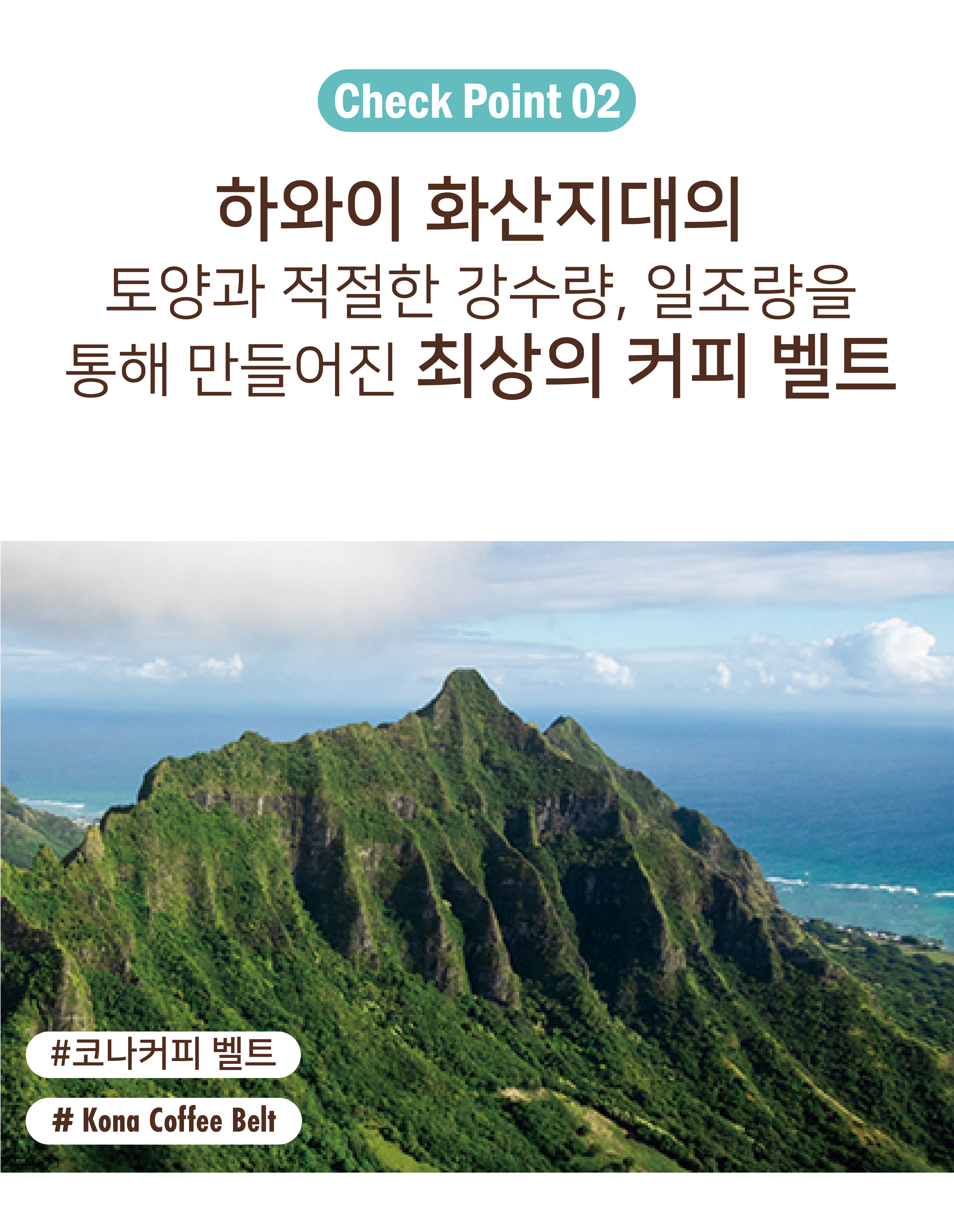 외디즈 상세페이지 860px 최종_2-6.jpg