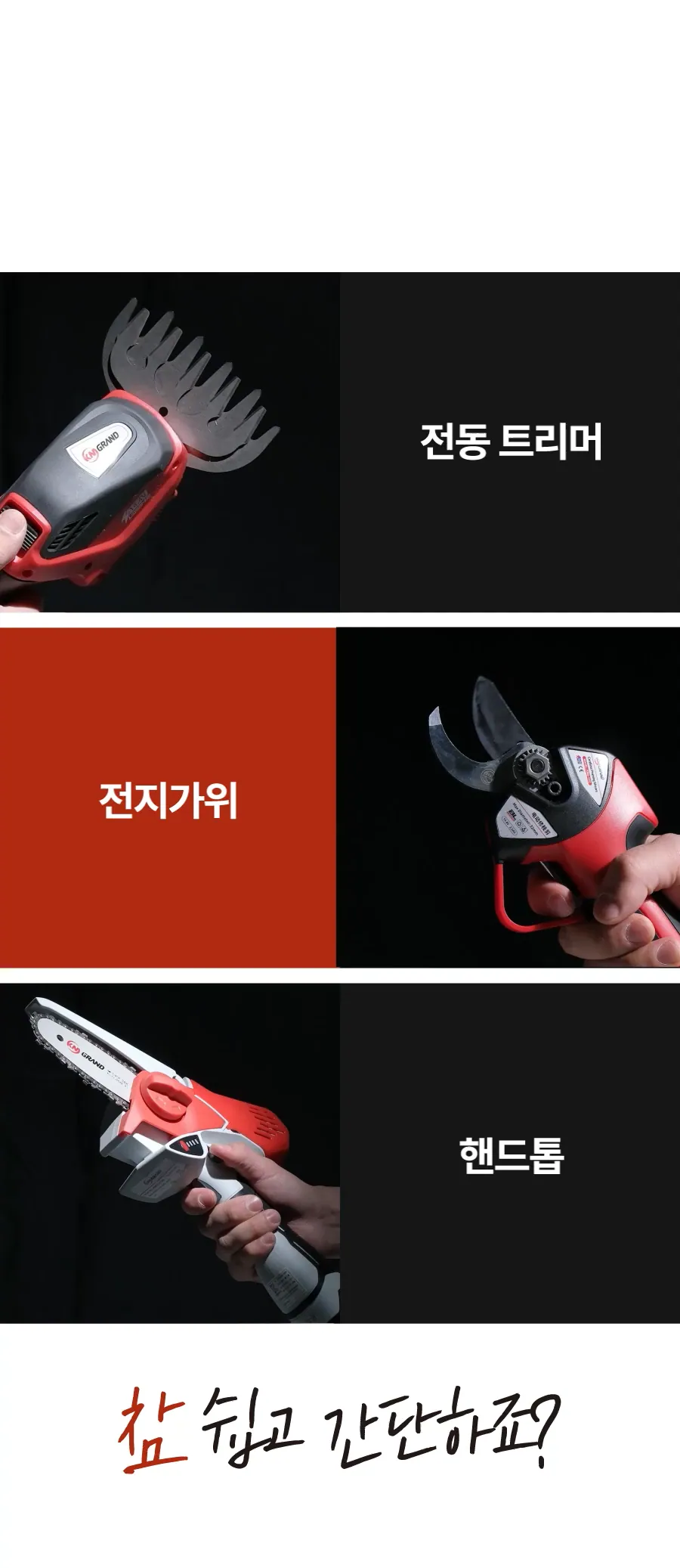 11.webp