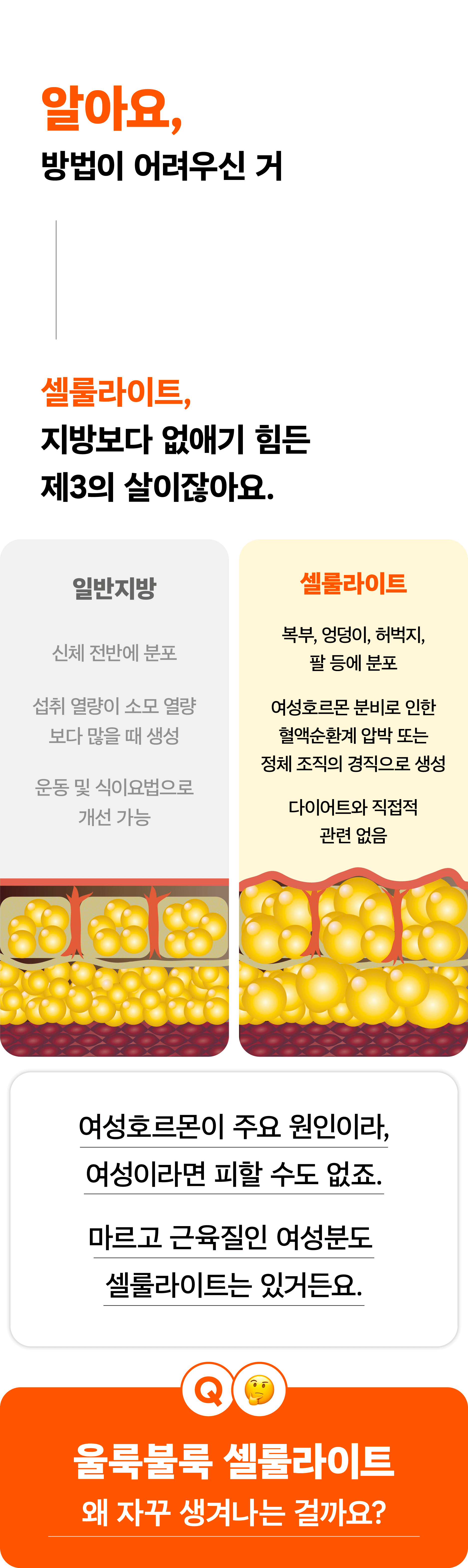 테두리깜빡깜빡.gif