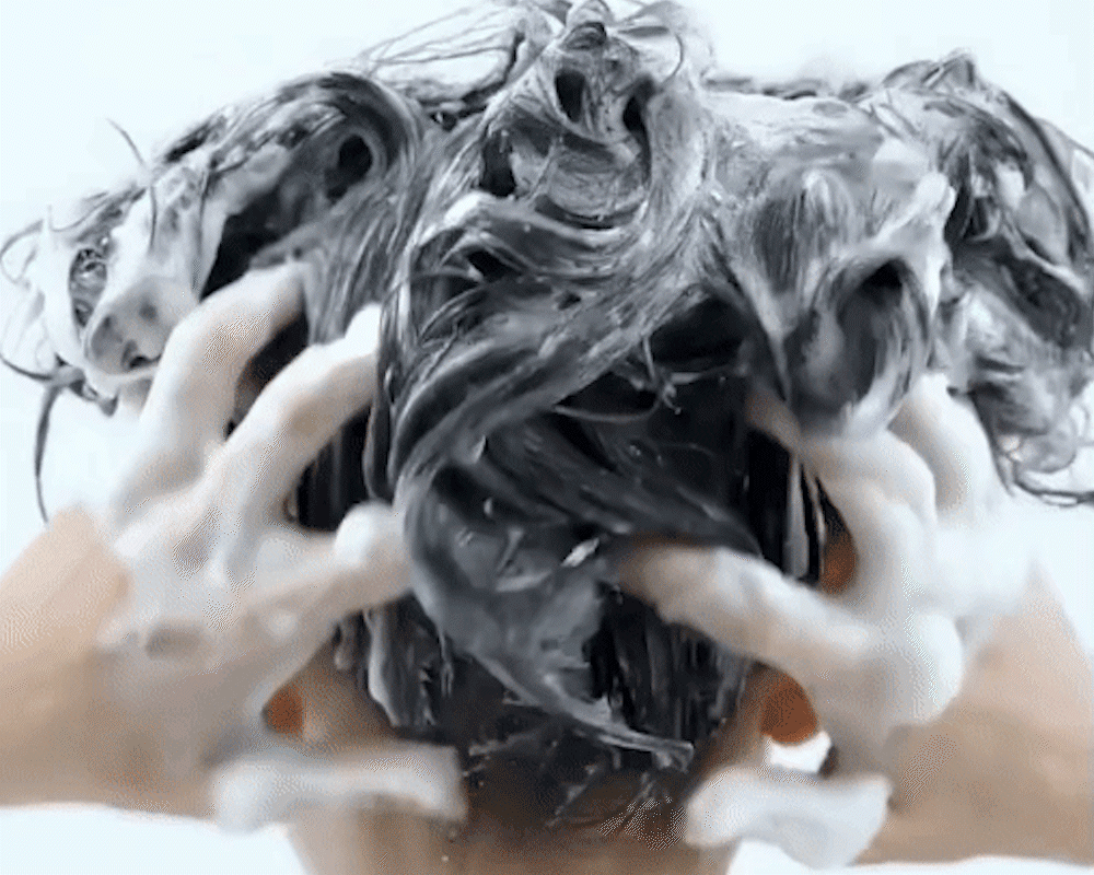 01_06.gif