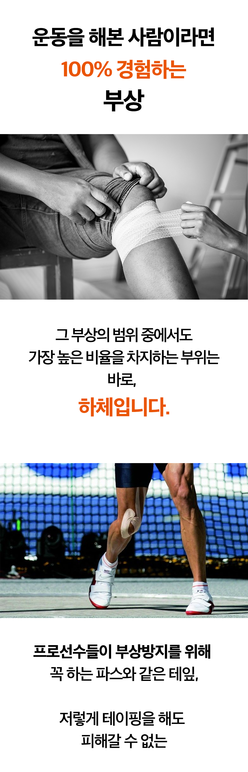 대지 1.png