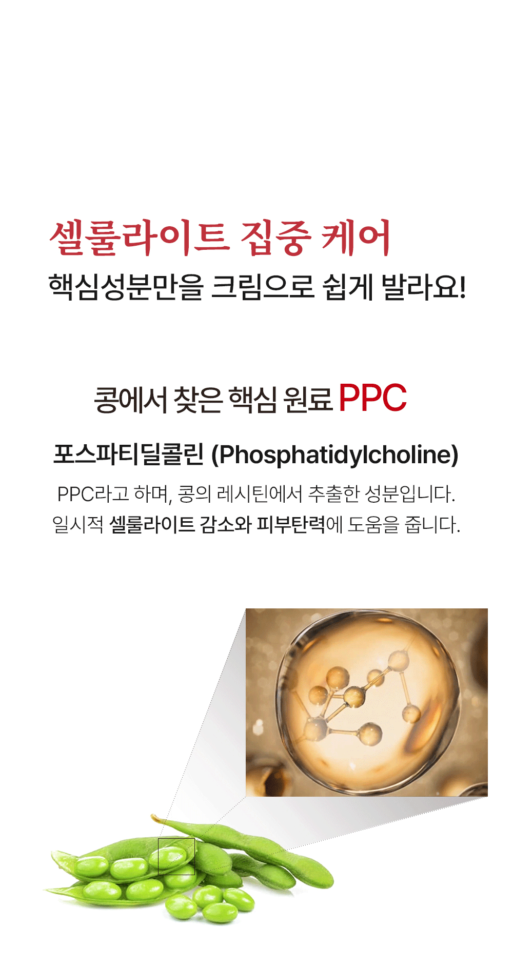 ppc_3_16.gif
