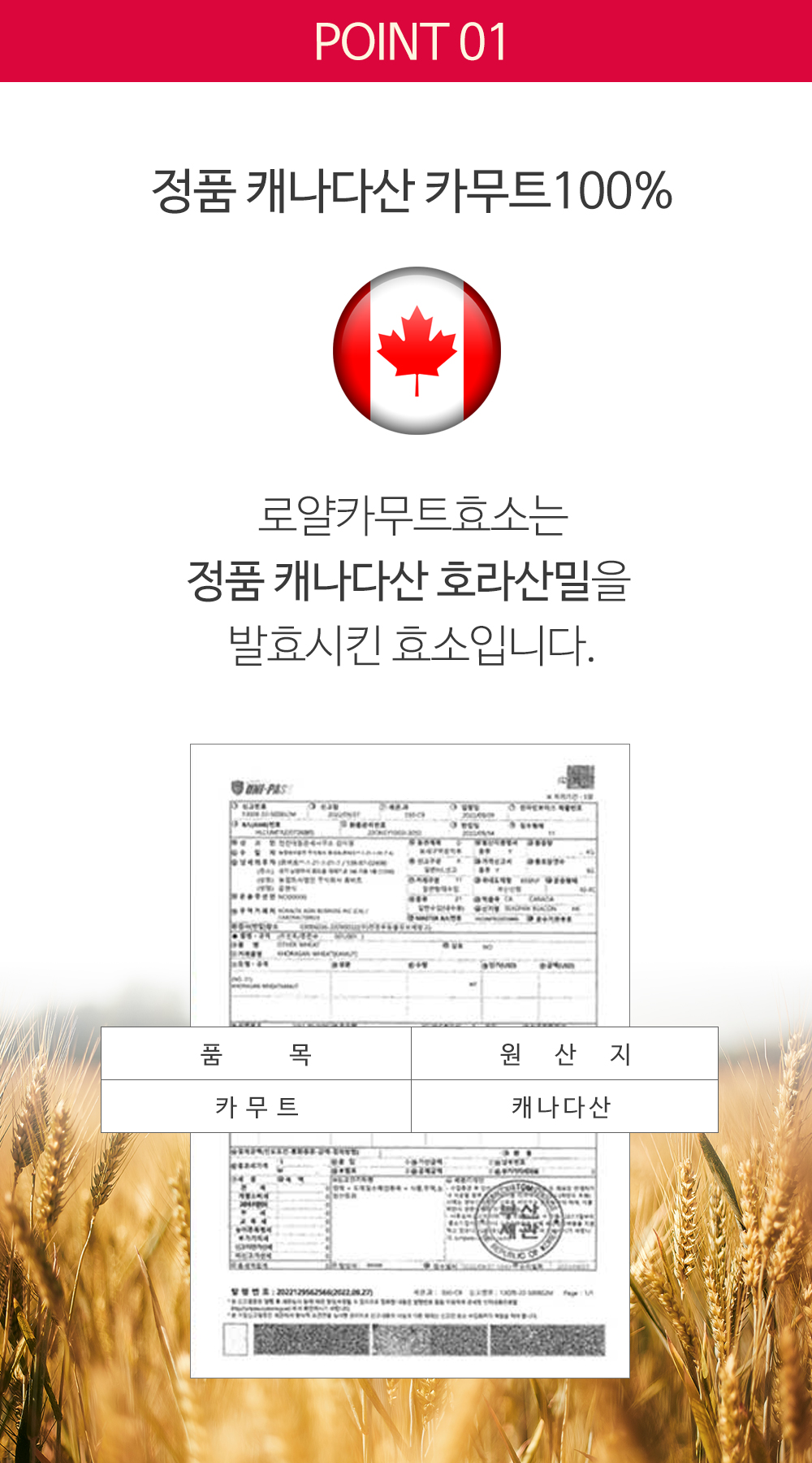 KAMUT 02_캐나다정품.jpg
