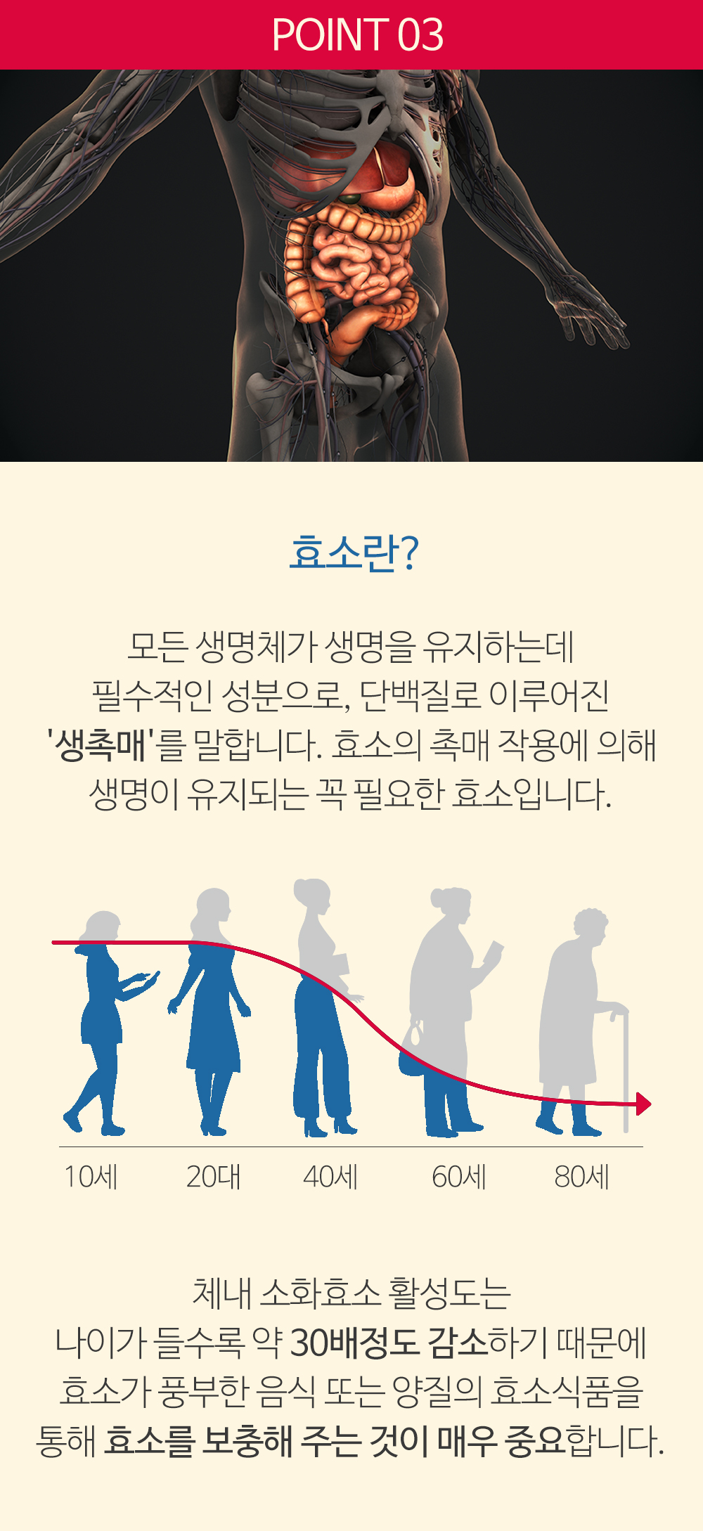 KAMUT 04_효소란.jpg
