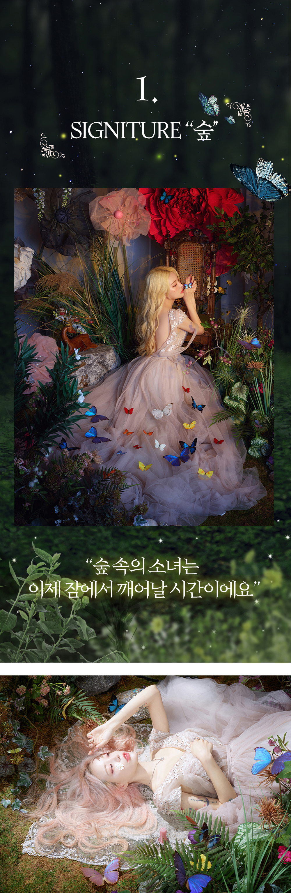 1. 숲 -1 (수정).jpg