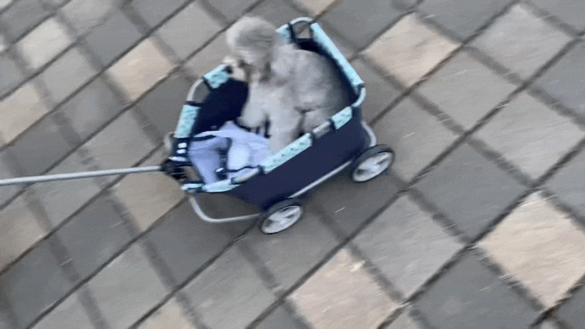 오르막길_optimize.gif