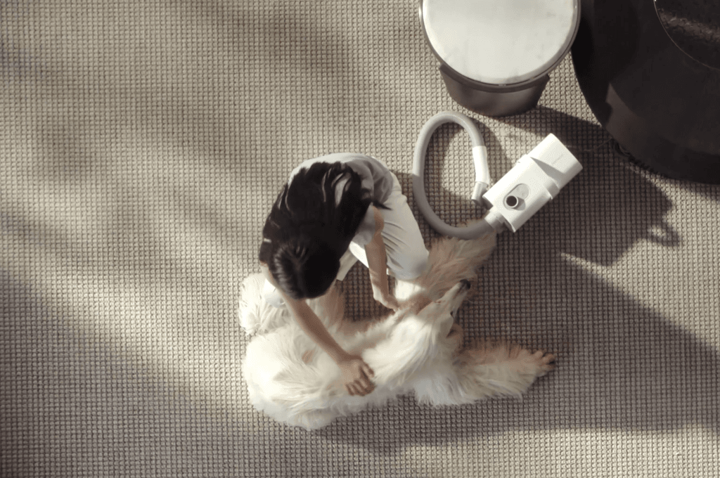 건조완료.gif