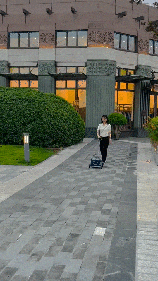 산책_op.gif