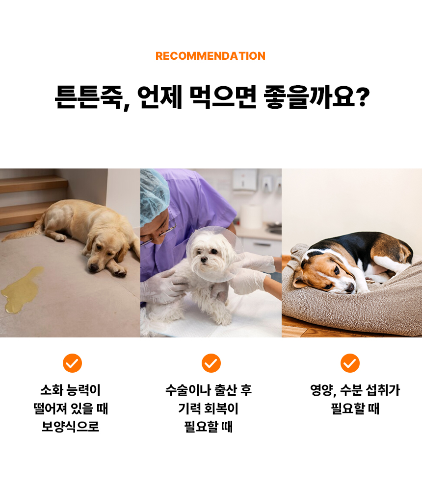 개튼튼 상세페이지_26.jpg