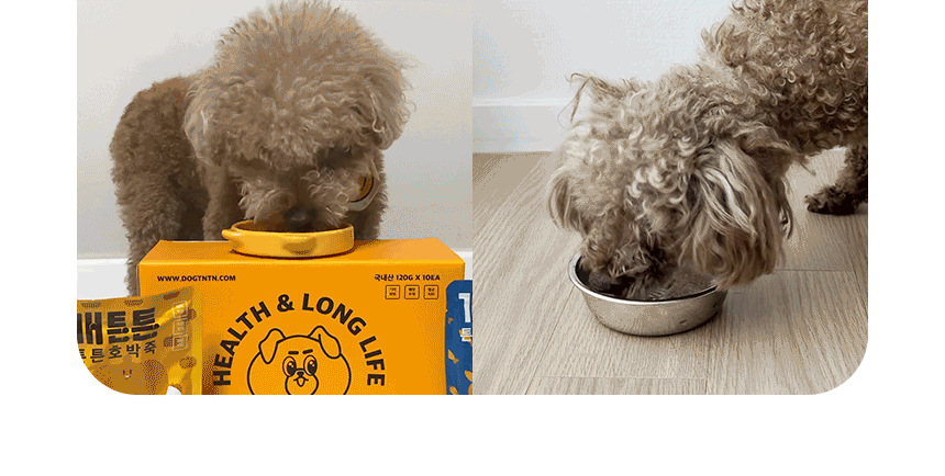 개튼튼 상세페이지_10.gif