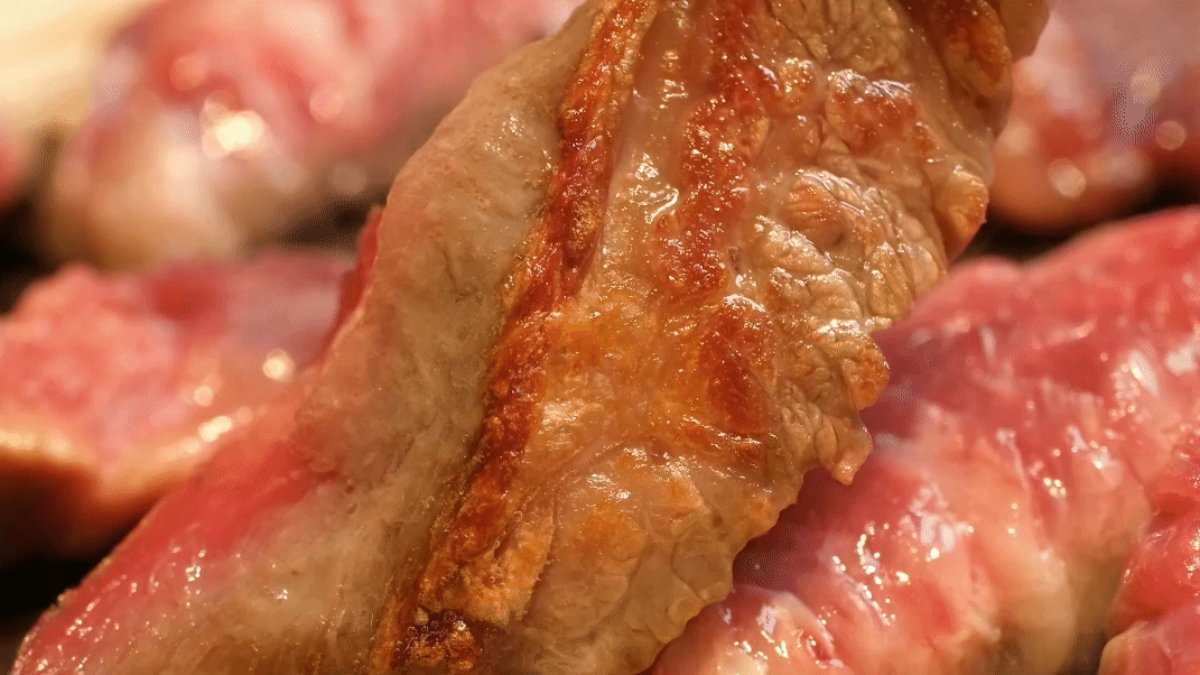 Wadiz第一名熟成肉｜别样香浓，零利润价格〈熟成牛肋条〉