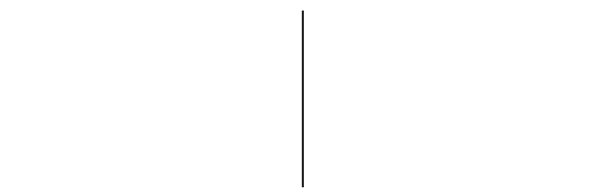 mid line.png
