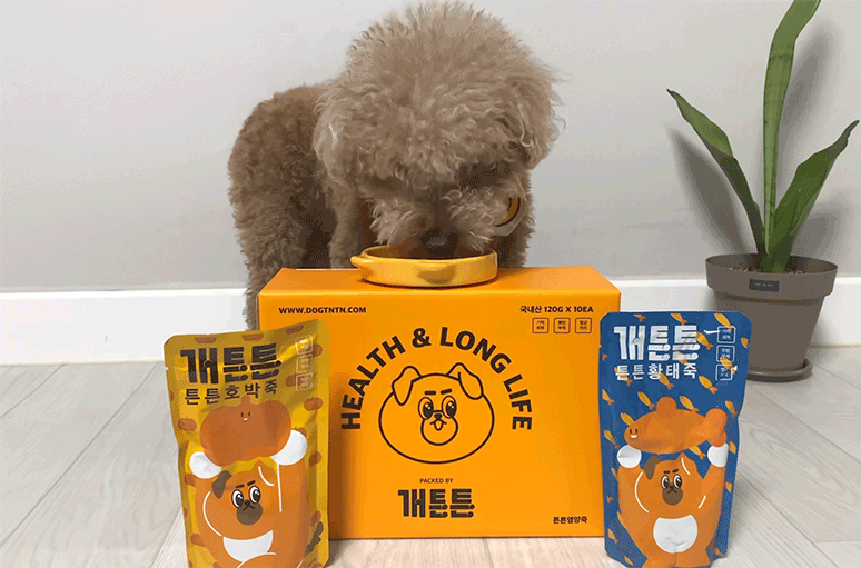 개튼튼 상세페이지_18.gif