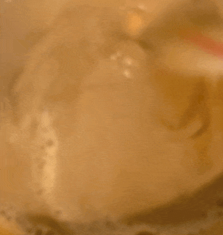 240215_와디즈_우앙딩_63.gif