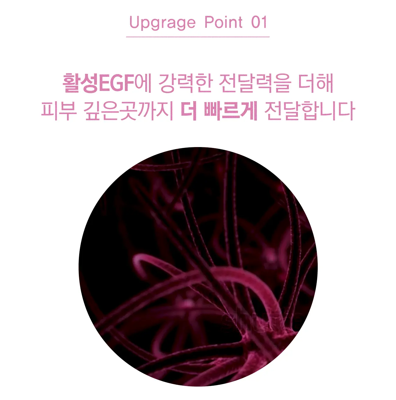 3스텝_셀4 (1).webp