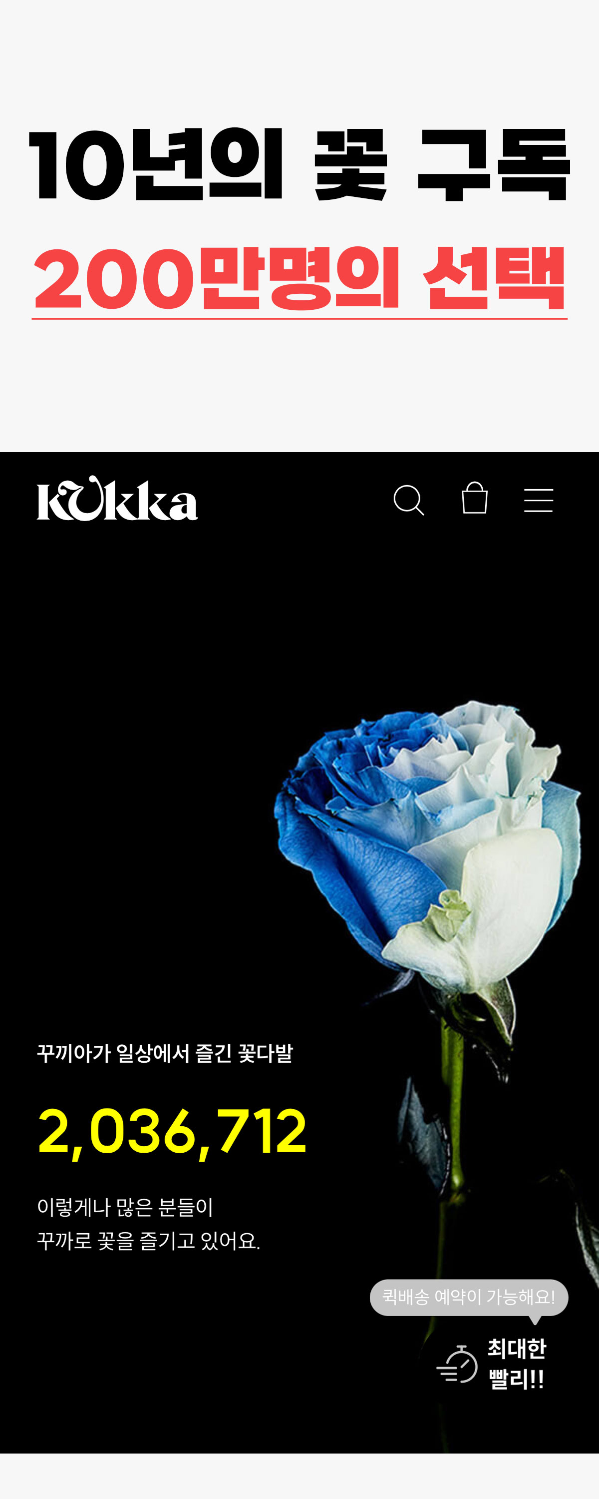 KUKKA_HISTORY1 (1).jpg