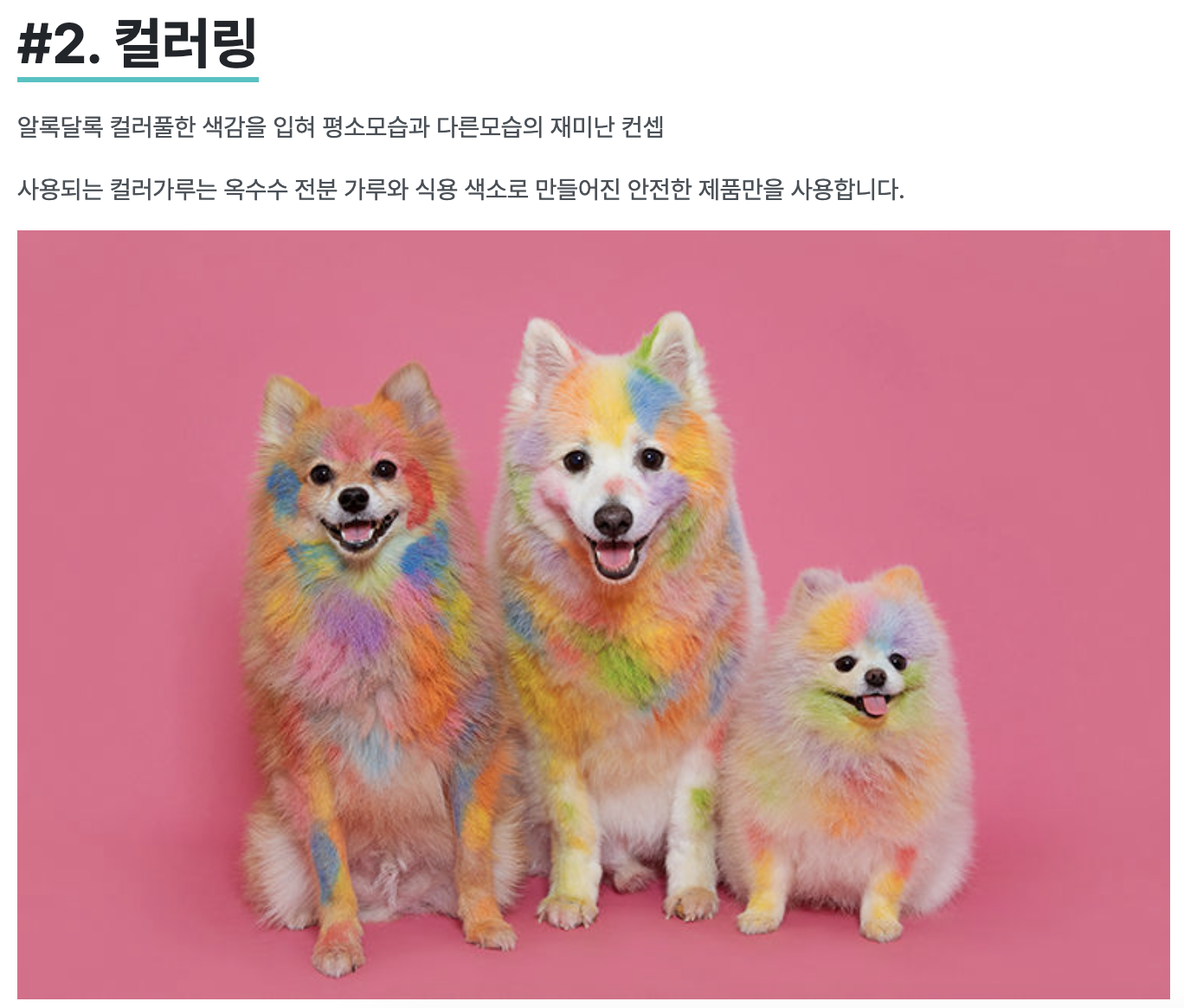 스크린샷 2024-02-20 오후 2.15.45.png