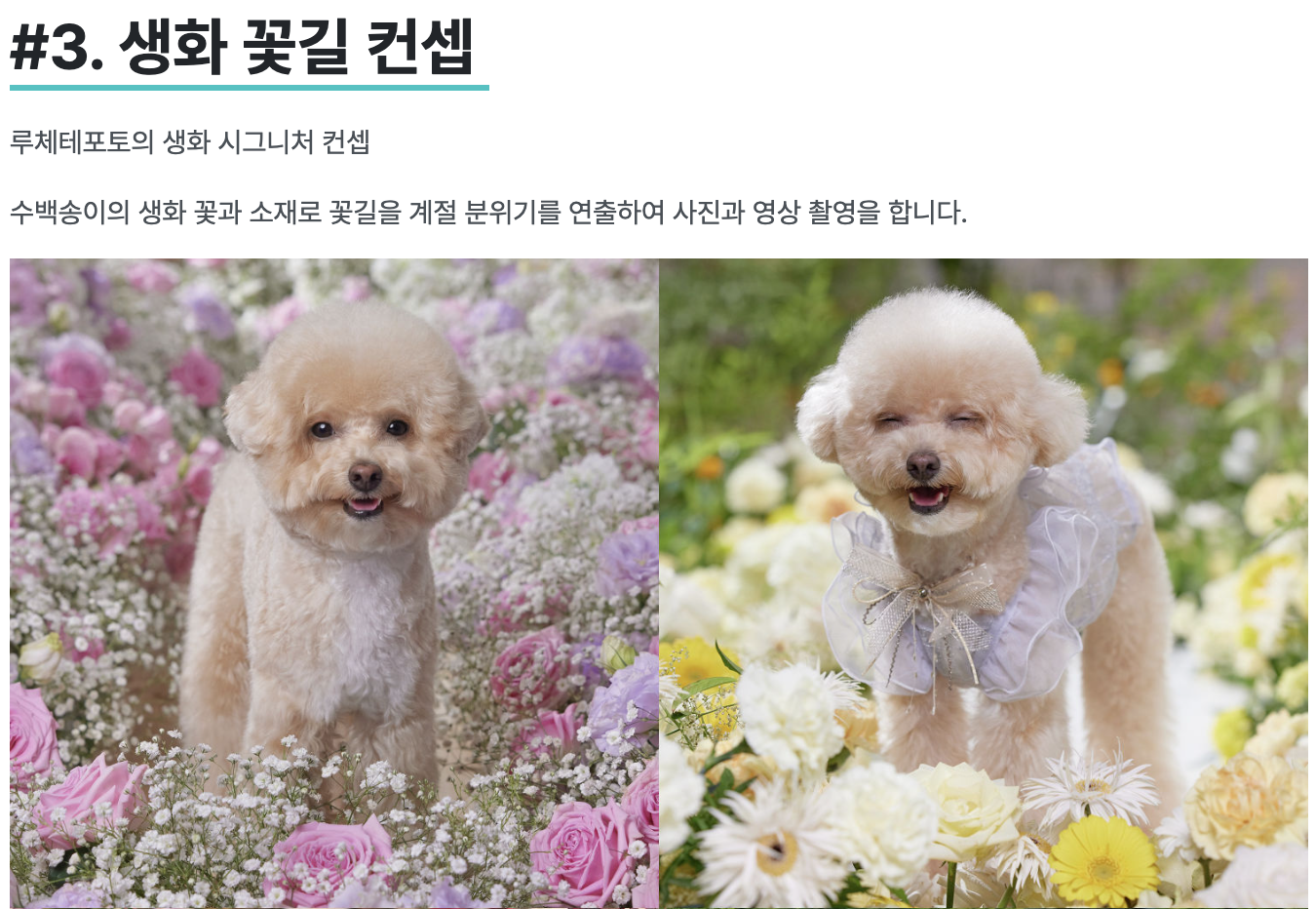 스크린샷 2024-02-20 오후 2.16.05.png