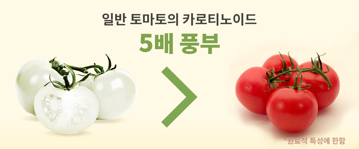 tomato.jpg