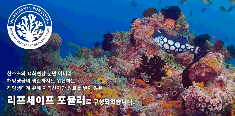 REEFSAFE.gif