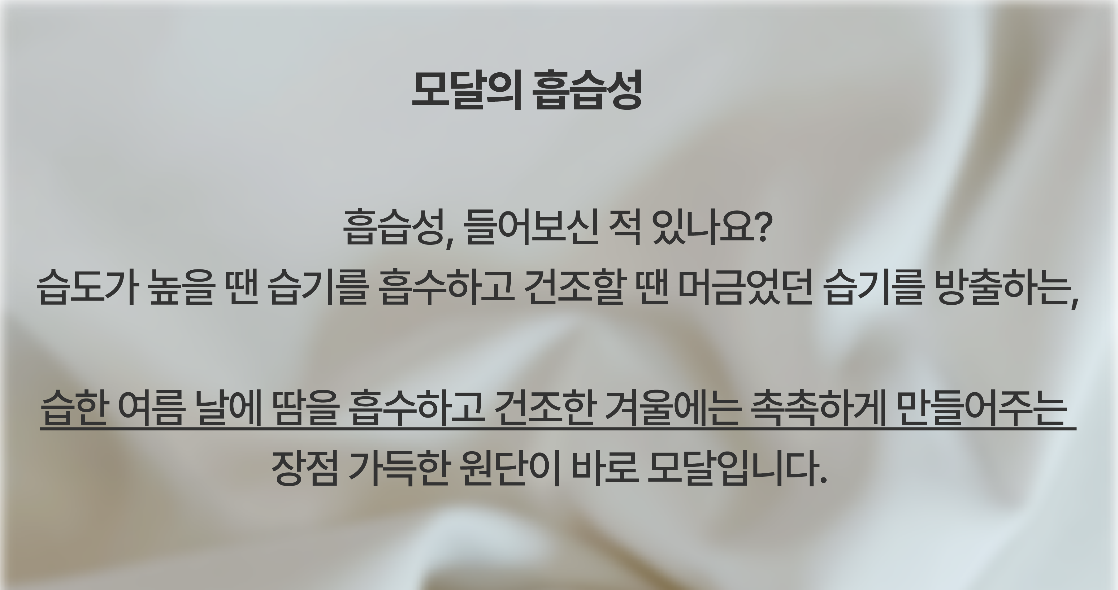 플레2024샌드셔츠앵콜상세페이지수정.png