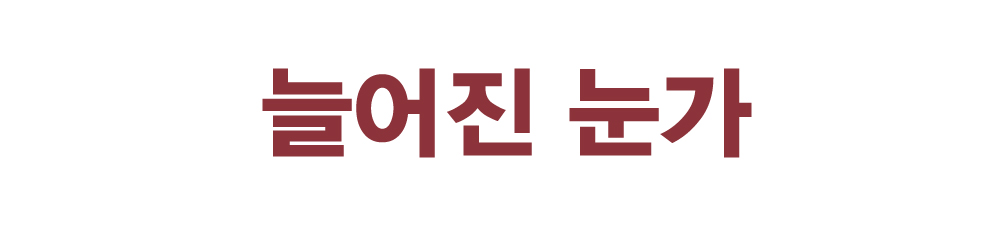 티타몬드_와디즈대지 1 복사 49.jpg