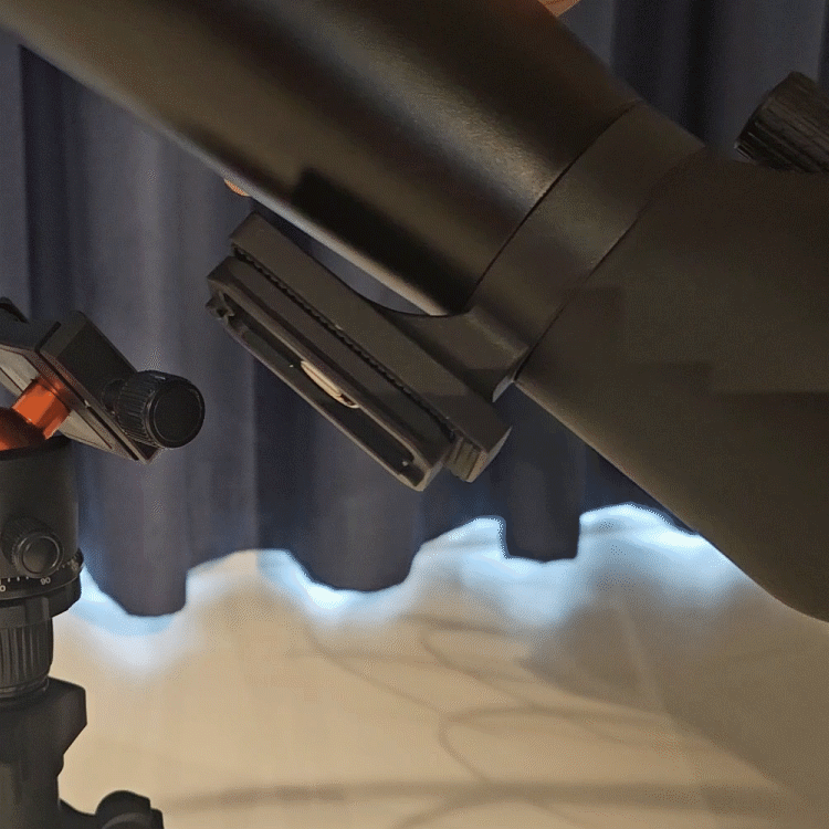 컴포지션 3_16.gif