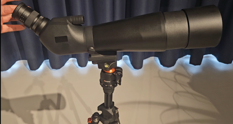 컴포지션 3_12.gif