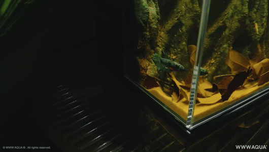 5-2-ezgif.com-optimize.gif