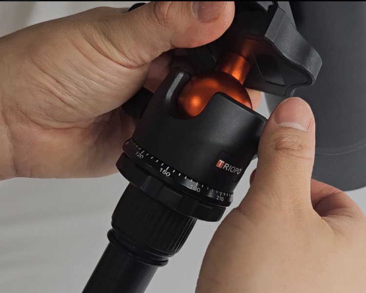 컴포지션 3_7.gif