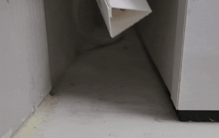 가구뒤.gif