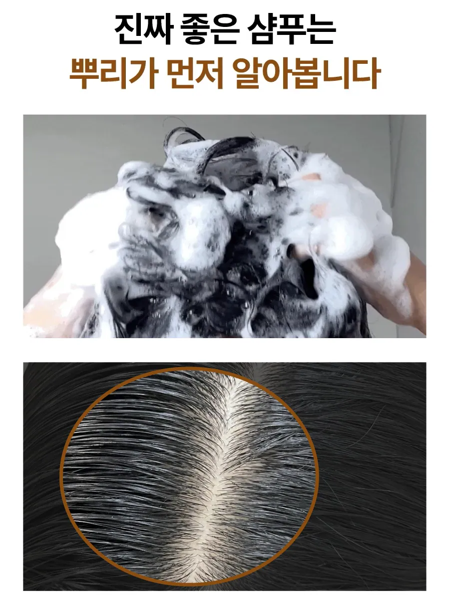 8.webp