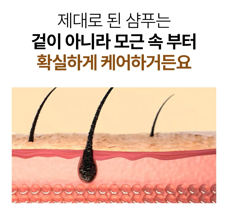 9.webp