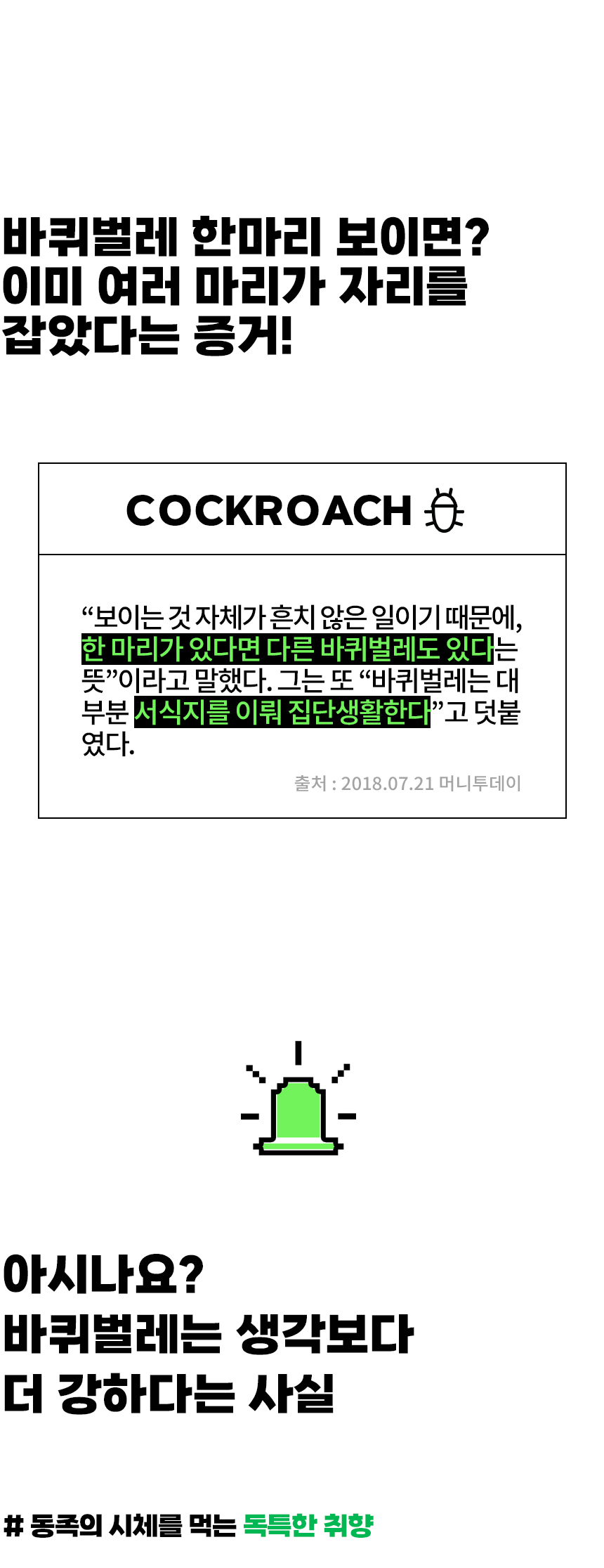 2_02.jpg