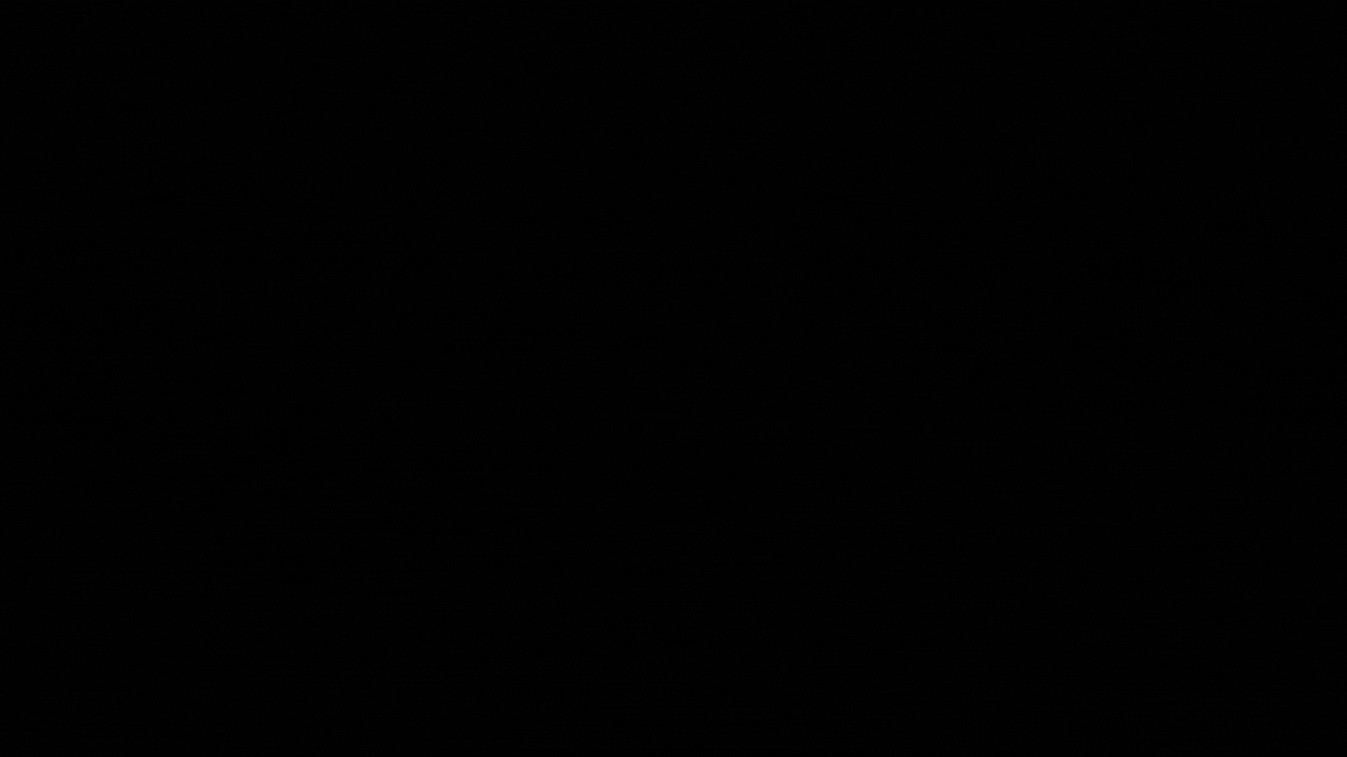 gif13.gif