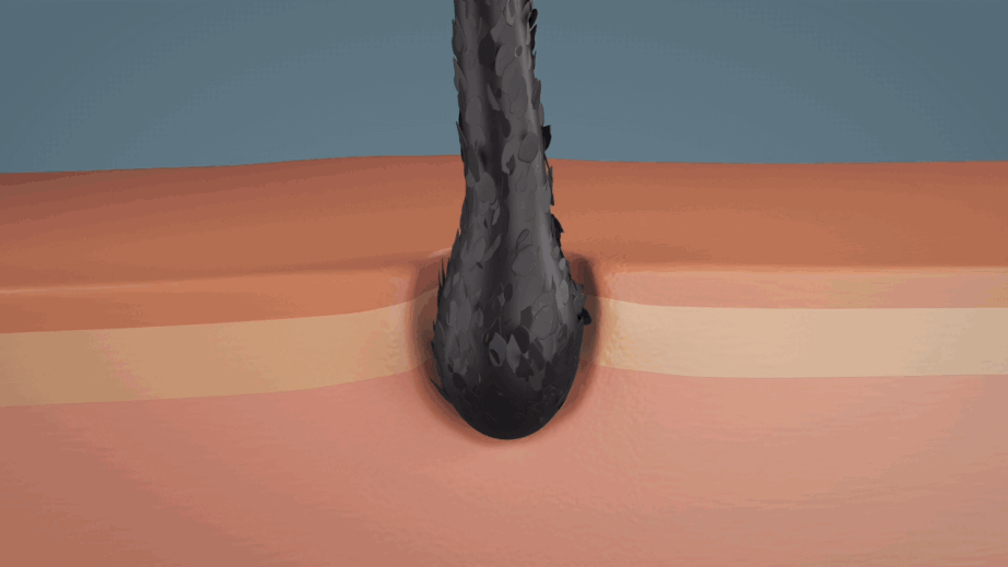 14.gif