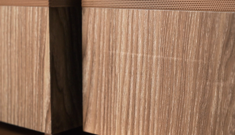 Honeycam 2024-02-21 17-42-55.webp