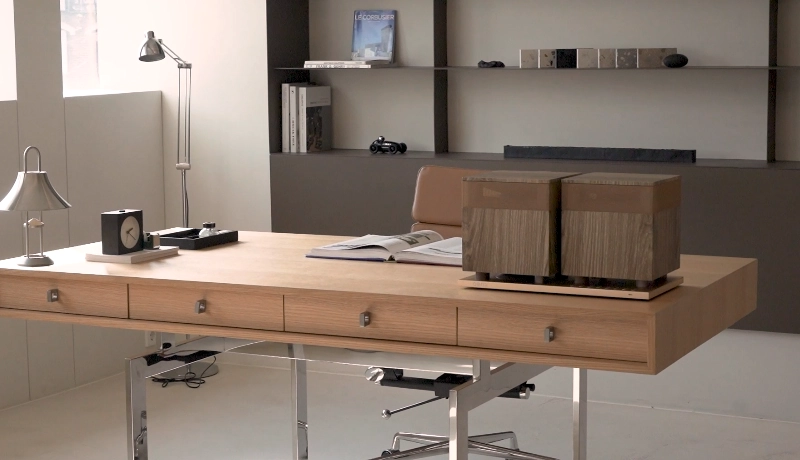 Honeycam 2024-02-21 17-44-41.webp