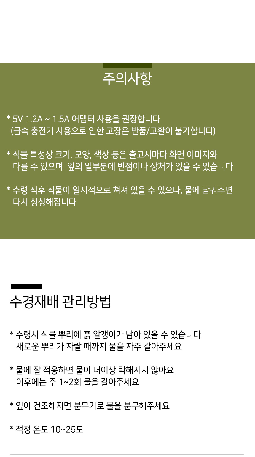 식물무드등_24.jpg