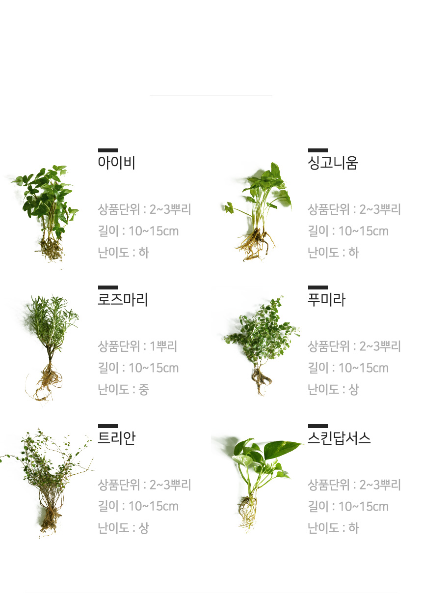식물무드등_23.jpg