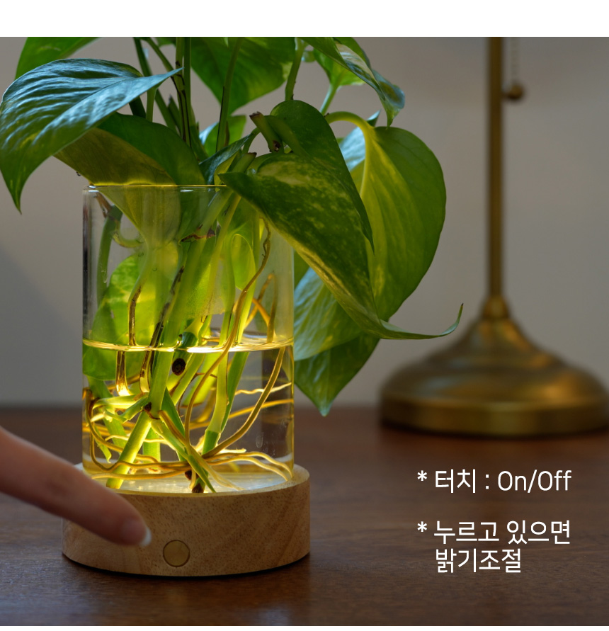 식물무드등_20.jpg