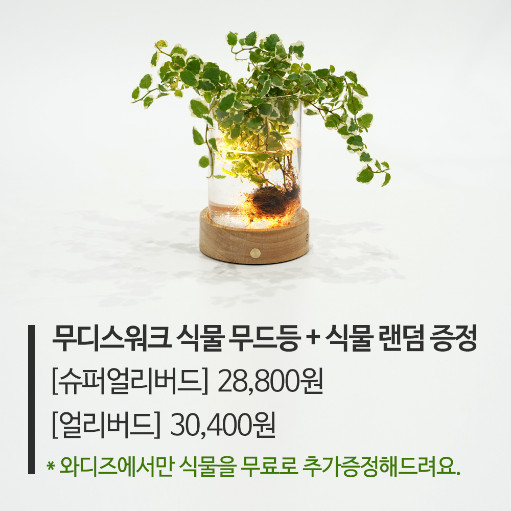 리워드안내02.jpg