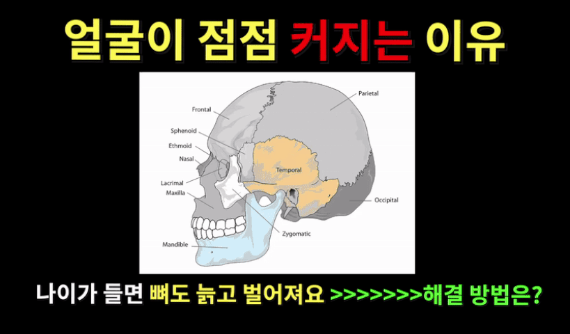 2mb_귀_얼굴커지는이유.gif