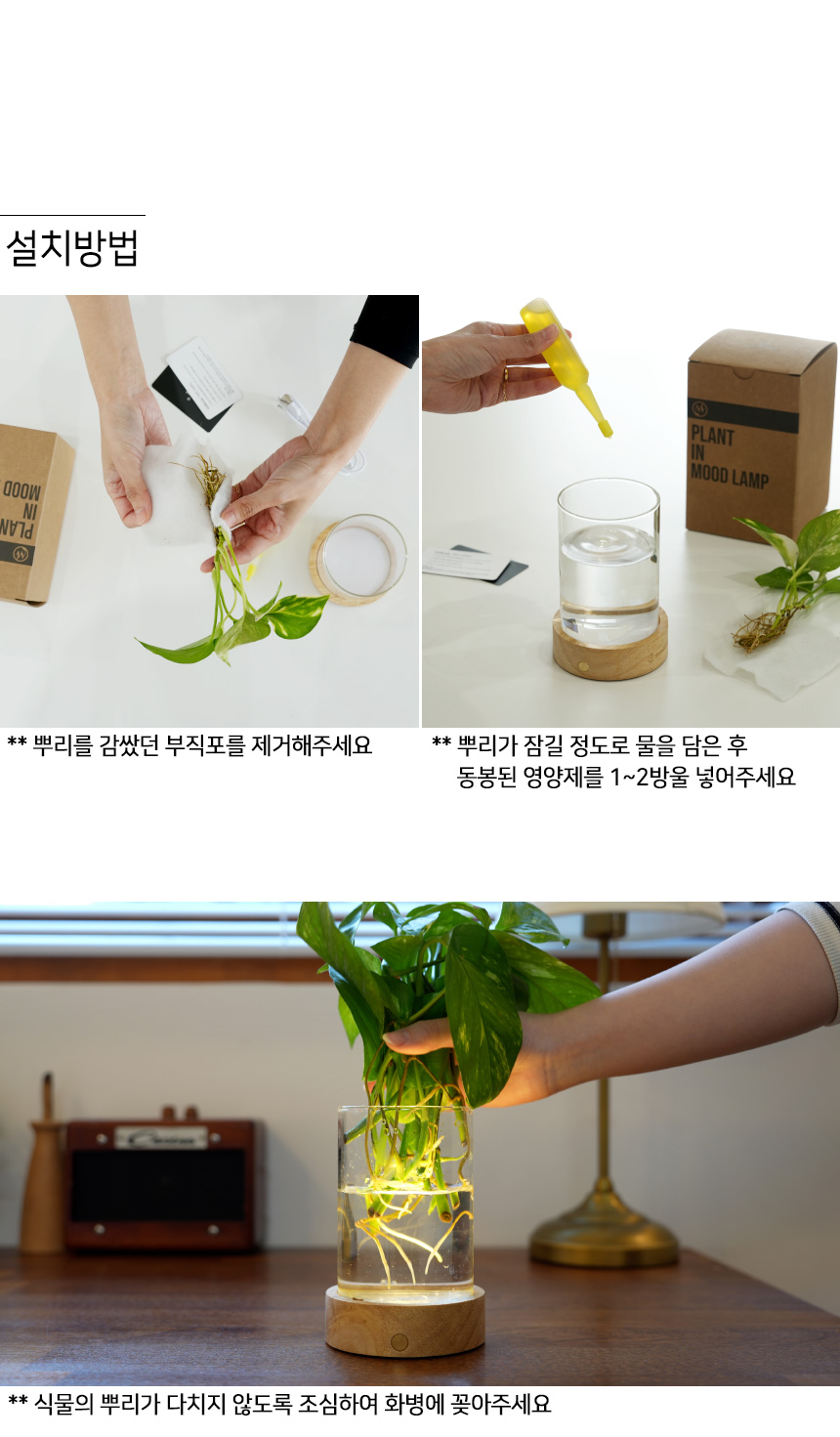 식물무드등_22.jpg